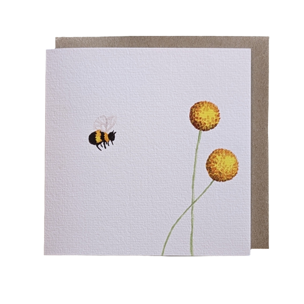 Billy Buttons Card