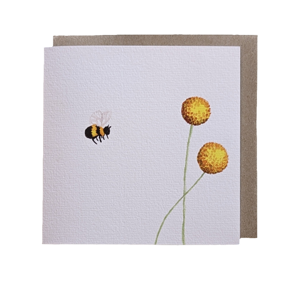 Billy Buttons Card