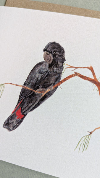 Black Cockatoo Card