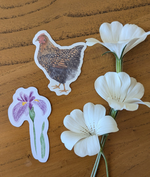 Seasonal Bundle - Spring