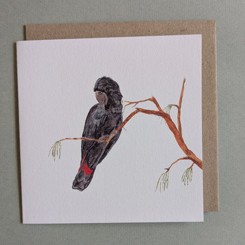 Black Cockatoo Card