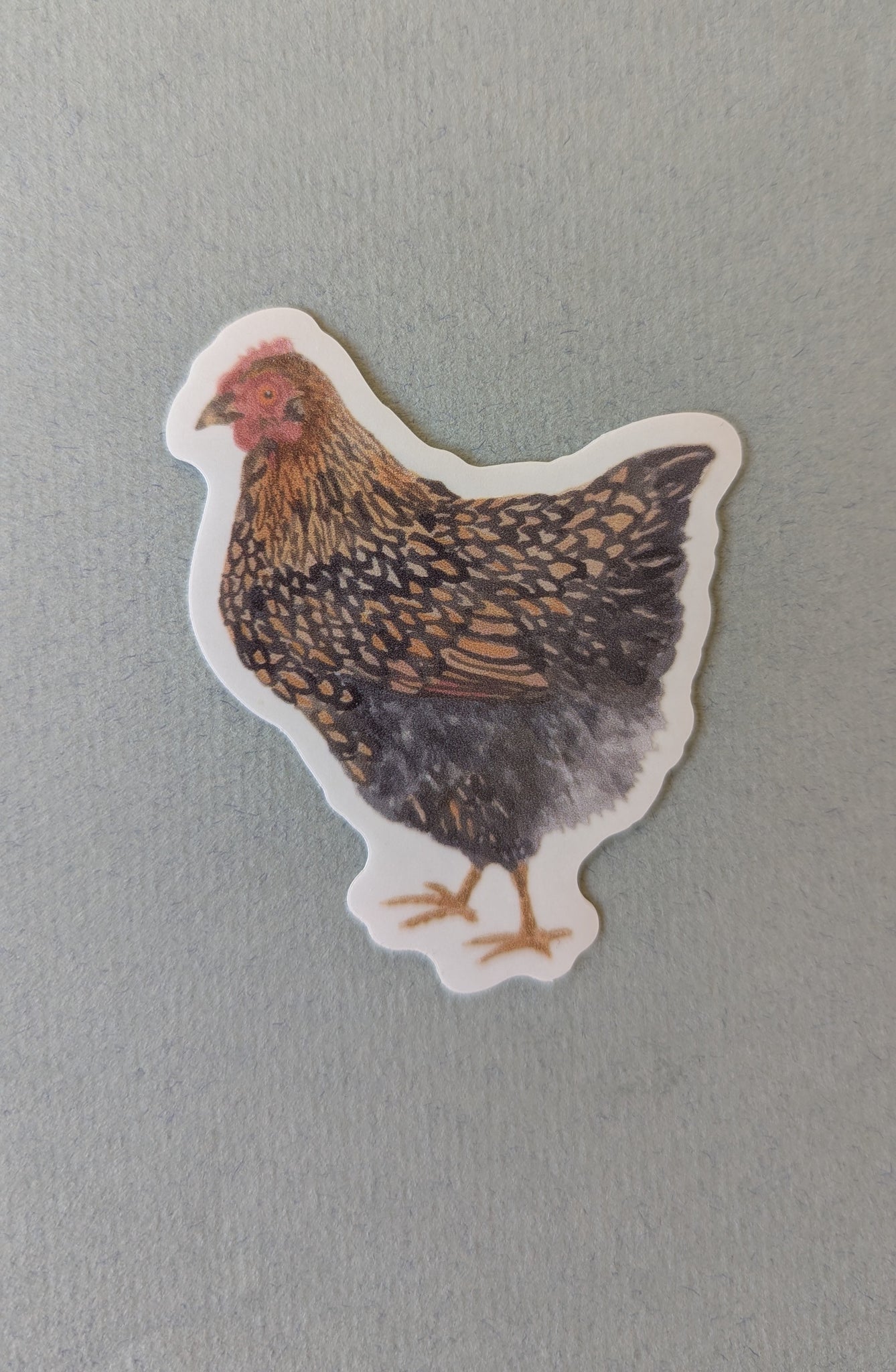 Chicken Sticker (clear)