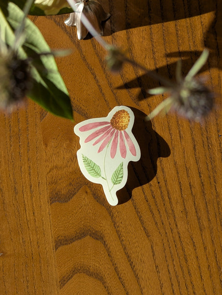 Echinacea Sticker (clear)