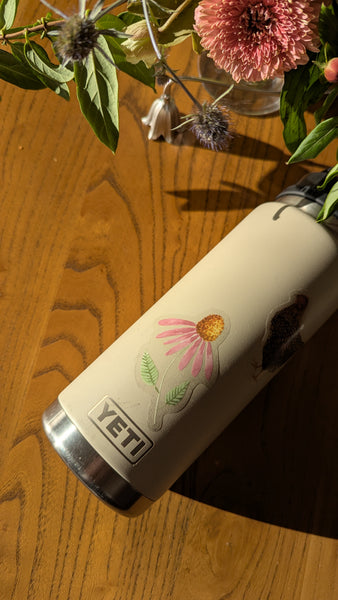 Echinacea Sticker (clear)