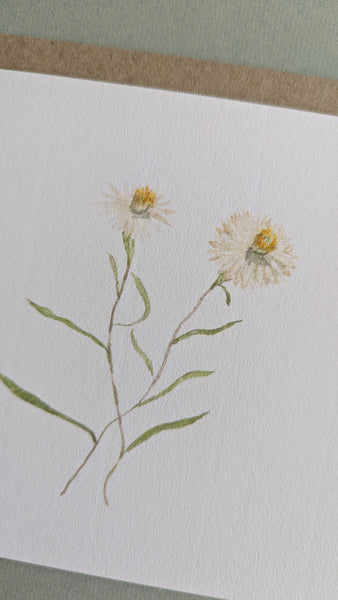Everlasting Daisies Card