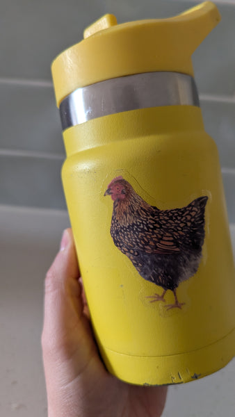 Chicken Sticker (clear)