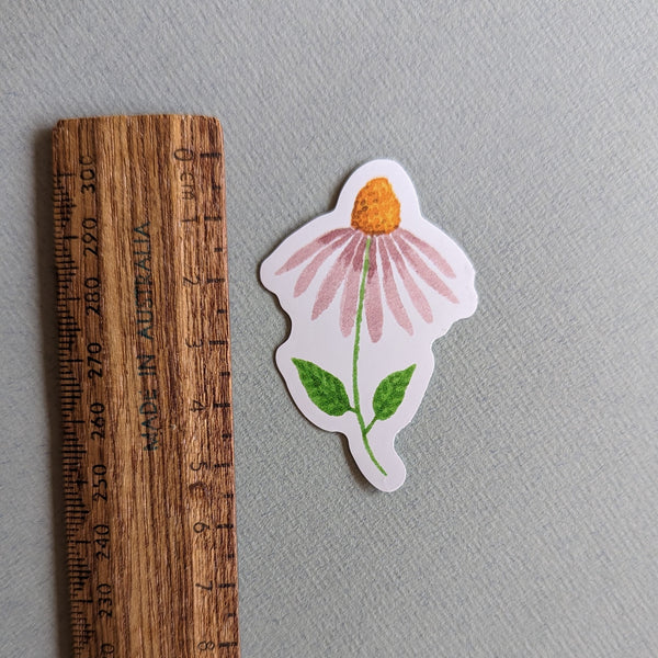 Echinacea Sticker